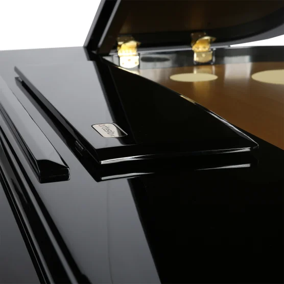 Artesia Pro A5 4ft Baby Grand Digital Piano 2